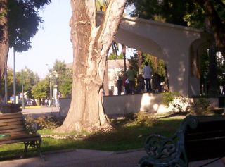 Sample Image