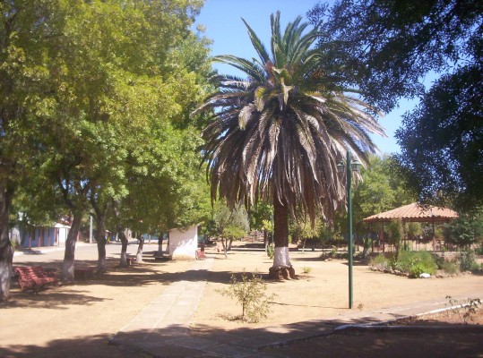 Sample Image