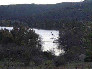 Active Image