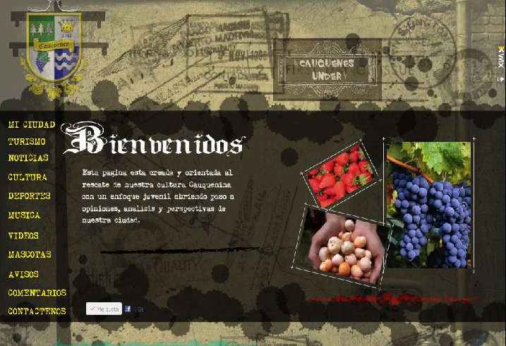 Cauquenes Under