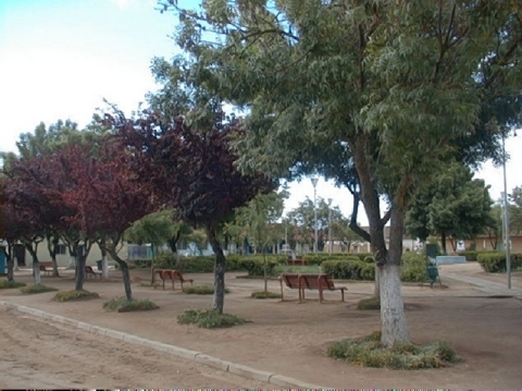 Sample Image